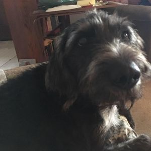 Meet your Posher, Pam